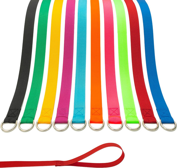 Slip Lead Dog Leash - 10 pcs Colorful 6 FT Short Leashes with O-Ring for Small Large Dogs, Cats, Training