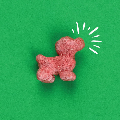 Plus Puffed Dog Treats with Prebiotics and Probiotics, Salmon & Sweet Potato, 24oz, Made in USA