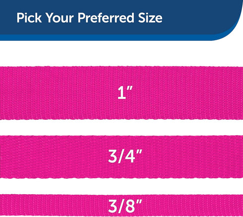 PetSafe Nylon Dog Leash - Strong, Durable Traditional Style with Easy Bolt Snap (3/4 in. x 3 ft., Raspberry Pink)