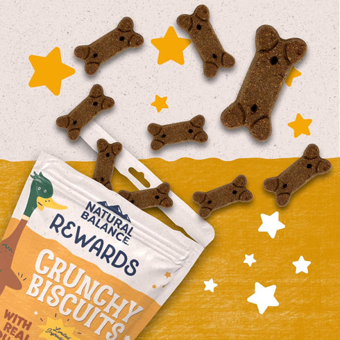Natural Balance Limited Ingredient Rewards Crunchy Biscuits, Duck Recipe, Grain-Free Dog Treats, 14 Ounce