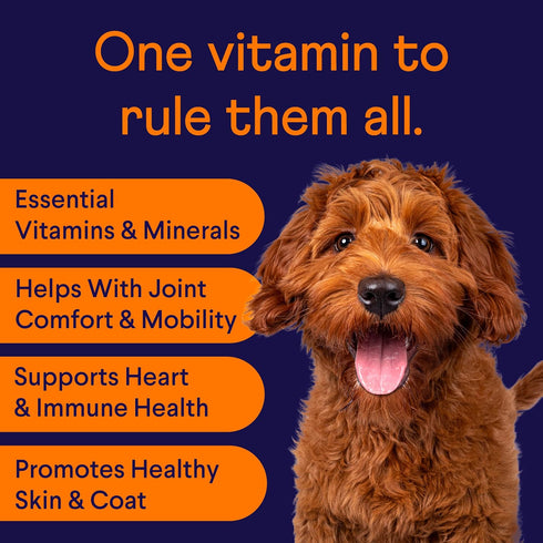 Finn All-in-1 Dog Multivitamin, Everyday Supplement with Probiotics, Omega-3s, Glucosamine for Gut, Immune, Joint