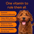 Finn All-in-1 Dog Multivitamin, Everyday Supplement with Probiotics, Omega-3s, Glucosamine for Gut, Immune, Joint