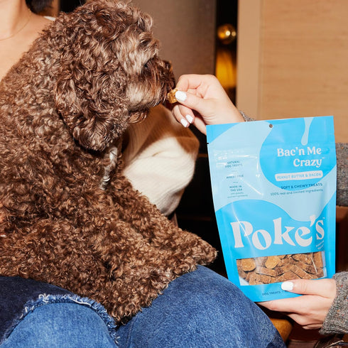Poke's Bac'n Me Crazy Limited Ingredient Natural Dog Treats, Bacon & Peanut Butter, 8oz