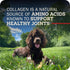 12" 3 Pack Redbarn Pet Products All-Natural Large Beef Collagen Sticks for Dogs - Long Lasting Low-Odor Alternative