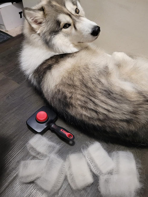 Combo Dog Brush - Slicker & Undercoat Rake - Self Cleaning Grooming Tool for Medium & Long Haired Pets