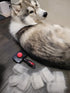 Combo Dog Brush - Slicker & Undercoat Rake - Self Cleaning Grooming Tool for Medium & Long Haired Pets