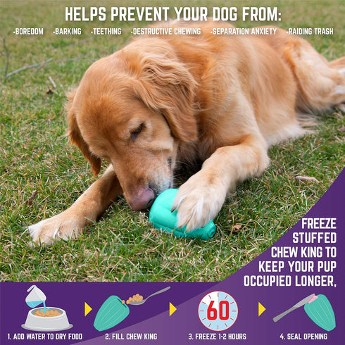 Chew King Premium Treat Dog Toy, L, Extremely Durable Natural Rubber Toy (Pack of 2) for All Breed Sizes