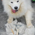 Undercoat Rake for Dogs, 3 Pack Grooming Brush Set with Long Tooth Rake, Double-Sided Comb & Stainless Steel Shedding