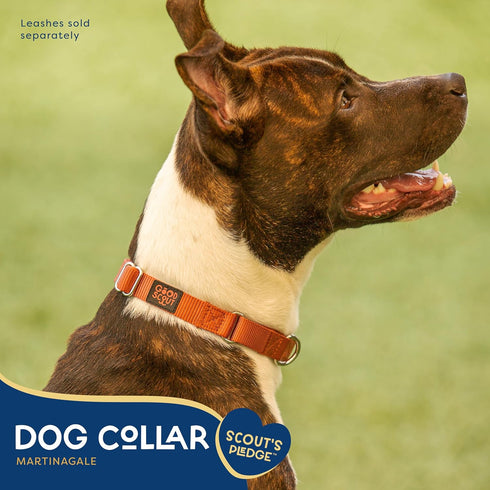 Martingale Heavy Duty Dog Collar for Large Dogs, Durable Slip-on Reflective Training Collar with D-Ring (Brick)