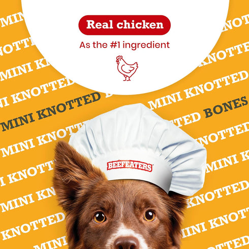 Beefeaters Mini Knotted Bone Dog Treats, Chicken Flavor, 12ct, Rawhide Free