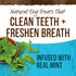 Merrick Fresh Kisses Natural Dental Chews Toothbrush Treats for Tiny Dogs 5-15 Lbs - 106 ct. Box