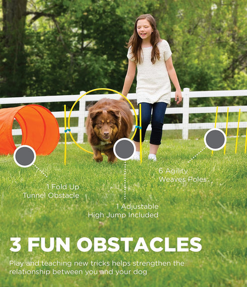 Set Interactive Outdoor Dog Agility Training for Active Pups