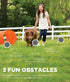 Set Interactive Outdoor Dog Agility Training for Active Pups