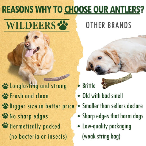 Wildeers Split Elk Antlers for Dogs, Medium 2-Pack, Grade A Antler Chews for Medium and Large Breeds, 5-7" Long