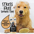 Oatmeal & Aloe Vera Dog Shampoo, Professional Vegan Pet Shampoo & Conditioner for Smelly Dogs