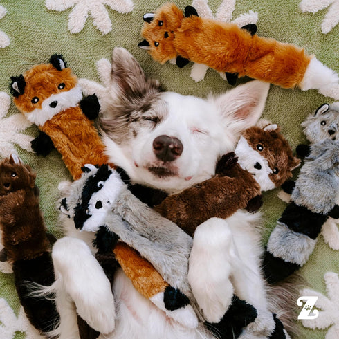 Pack Pack, 11" ZippyPaws Skinny Peltz - No Stuffing Dog Toy to Keep Them Busy, for Small and Medium Dogs, Squeaky Pet