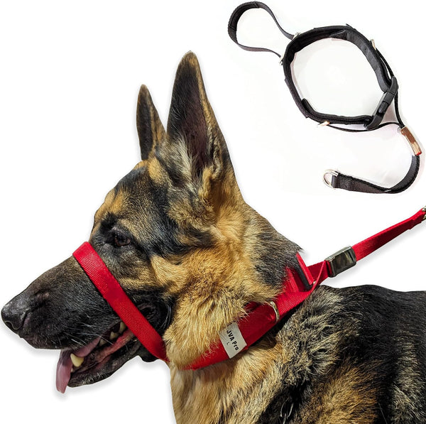 PetsProMax Dog Headcollar for Pulling and Reactive Dogs, No-Pull Training Collar for Large Dogs, Red (L)