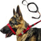 PetsProMax Dog Headcollar for Pulling and Reactive Dogs, No-Pull Training Collar for Large Dogs, Red (L)