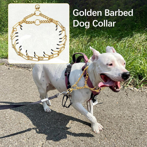 Gold Stainless Steel Dog Pinch Collar, Adjustable No Pull Martingale Training Collar for Medium & Large Dogs