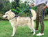 Tuff Pupper Heavy Duty Double Handle Dog Leash, Twist Locking Carabiner Clip, Reflective for Safe Night Walks