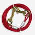 Four Paws Puppy Dog Tie Out Cable, Red, 15 Feet