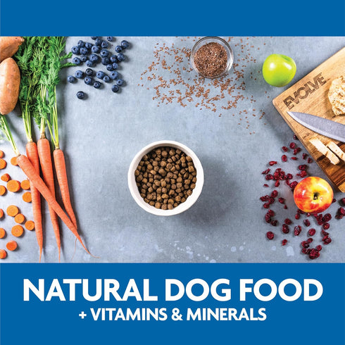 Evolve Grain Free Dry Dog Food - Deboned Chicken, Sweet Potato & Berry Recipe, 4lb