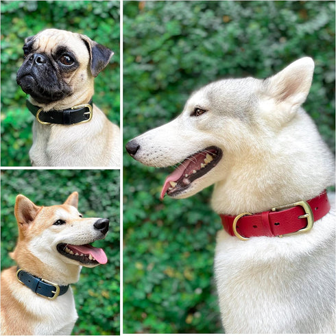 Tuff Pupper Classic Heavy Duty Dog Collar - 10x Stronger Than Leather, 100% Waterproof & Odor Proof with Rust-Proof