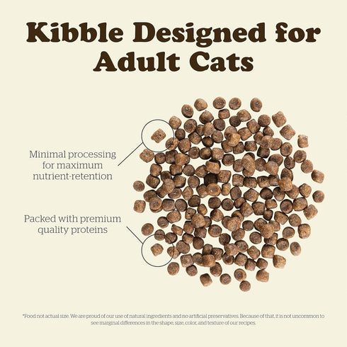 Now Fresh Dry Cat Food, Turkey, Salmon and Duck Recipe - 3 lbs Grain Free Cat Food