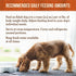 Merrick Lil’ Plates Grain Free Dinner Duos Soft Natural Wet Dog Food Variety Pack, Beef and Turkey - (1 Pack) 2.6 lb.