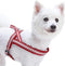 Blueberry Pet 4 Colors Soft & Comfy 3M Reflective Jacquard Padded Dog Harness, Chest Girth 16.5" - 21", Marsala Red