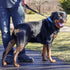 Coastal Pet Double-Ply Dog Traffic Leash, Black, 1" x 24" - Durable for Vet Visits