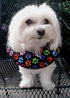 Keep Your Dog on The Safe Side of The Fence - Rainbow Paw (Up to 10")