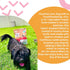 I AND LOVE AND YOU Baked and Saucy Dry Dog Food - Beef + Sweet Potato, Prebiotic + Probiotic, Grain Free, 10.25 lb Bag