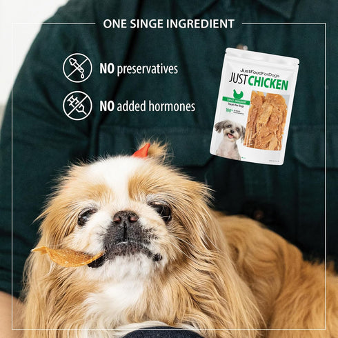 JustFoodForDogs Healthy Dog Treats, Single-Ingredient Chicken Breast, Made in The USA 5 oz