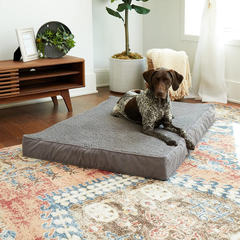 South Pine Porch Darla Deluxe Sherpa Supportive Dog Bed, Gray, Large (48" x 36")