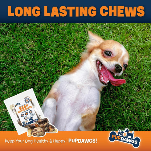 Single Ingredient Dog Bones, 8 Piece Pack - Made in USA Beef Femur Bones for Aggressive Chewers