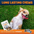 Single Ingredient Dog Bones, 8 Piece Pack - Made in USA Beef Femur Bones for Aggressive Chewers