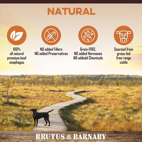 Gullet Sticks for Dogs, All Natural Single Ingredient Beef Jerky Chews, Healthy Beef Gullet Sticks