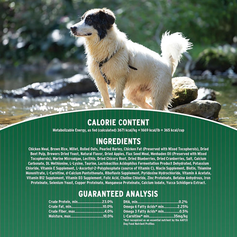Annamaet Original Adult Formula Dry Dog Food - 23% Protein (Chicken & Brown Rice) - 12-lb Bag