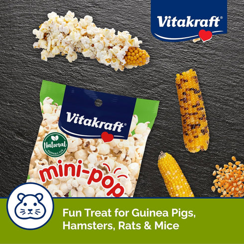 Vitakraft Mini Pops Treat for Small Animals - 100% Real Corn Cob, Supports Healthy Teeth, 6 oz
