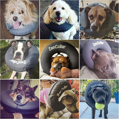 ZenPet Protective Inflatable Recovery Collar for Dogs and Cats - Soft E-Collar, Prevents Touching Stitches, Small