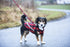 RC Pets 3/4" x 6 ft Dog Leash, Urban Woodsman Design