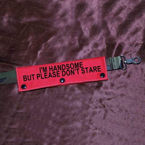Funny Dog Leash Sleeve, I'm Handsome But Please Don't Stare, Pet Birthday Gift