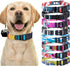ECollar Replacement Strap, Compatible with Major Brands Including Petsafe, Medium