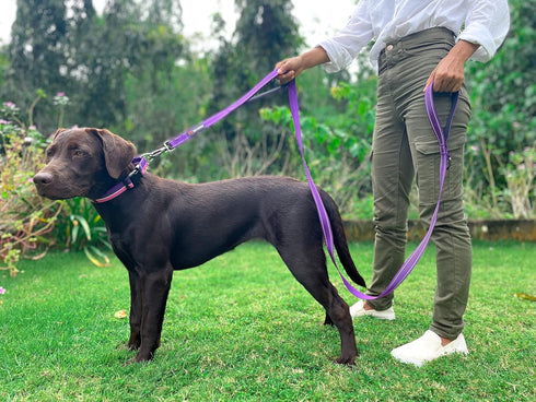 Tuff Pupper Heavy Duty Dog Leash with Double Handle, Reflective Safety Locking Carabiner for Medium & Large Dogs