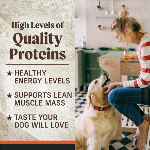 (Pack 12) 12.7 oz. Merrick Grain Free Premium And Natural Canned Dog Food, Soft And Healthy Wet Recipe, Real Texas Beef