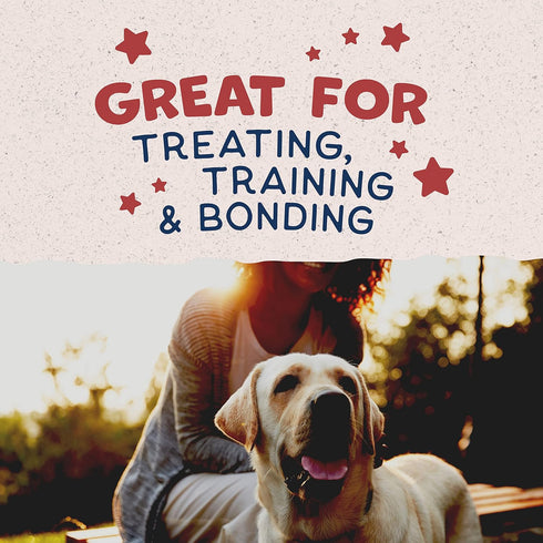 Natural Balance Limited Ingredient Rewards Crunchy Biscuits – 14 Ounce – Grain-Free Dog Treats, Sweet Potato & Bison