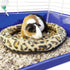 Ware Manufacturing Safari Sleeper Bed for Small Animals, Colors May Vary