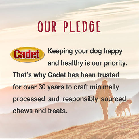 (28 oz.) Cadet Gourmet Chicken Breast Dog Treats - Healthy & Natural Chicken Dog Training Treats for Small & Large Dogs
