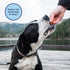 Natural Balance Limited Ingredient Mini-Rewards, Chicken Grain-Free Training Treats for Dogs, 5.3-oz Canister
